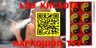 СК Ирбит