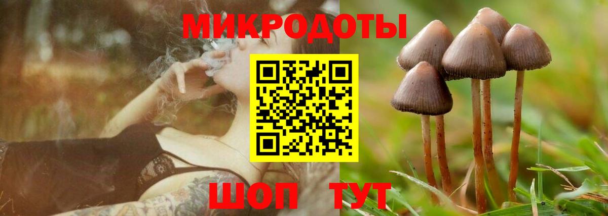 Магадан  Псилоцибиновые грибы мицелий  Галлюциногенные грибы Cubensis  Вход с VPN 